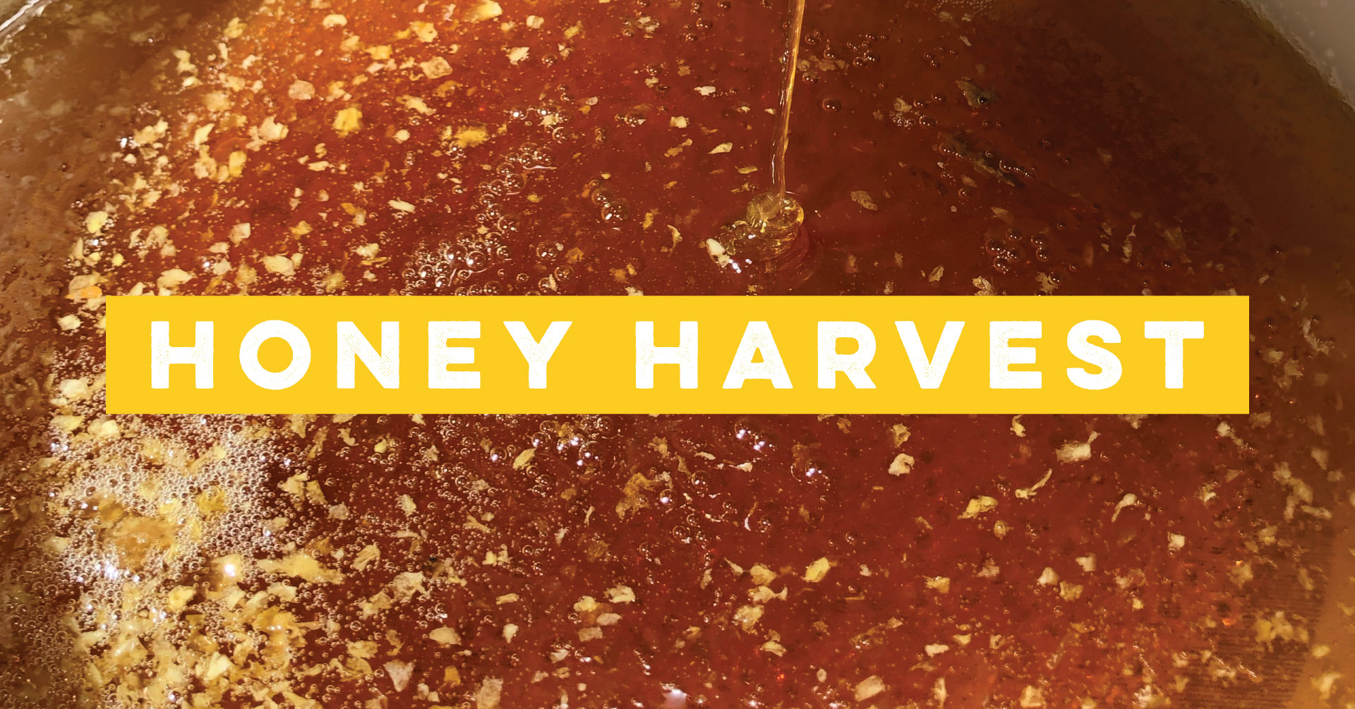 Alameda Natural Grocery Rooftop Honey Bee Honey Harvest 23